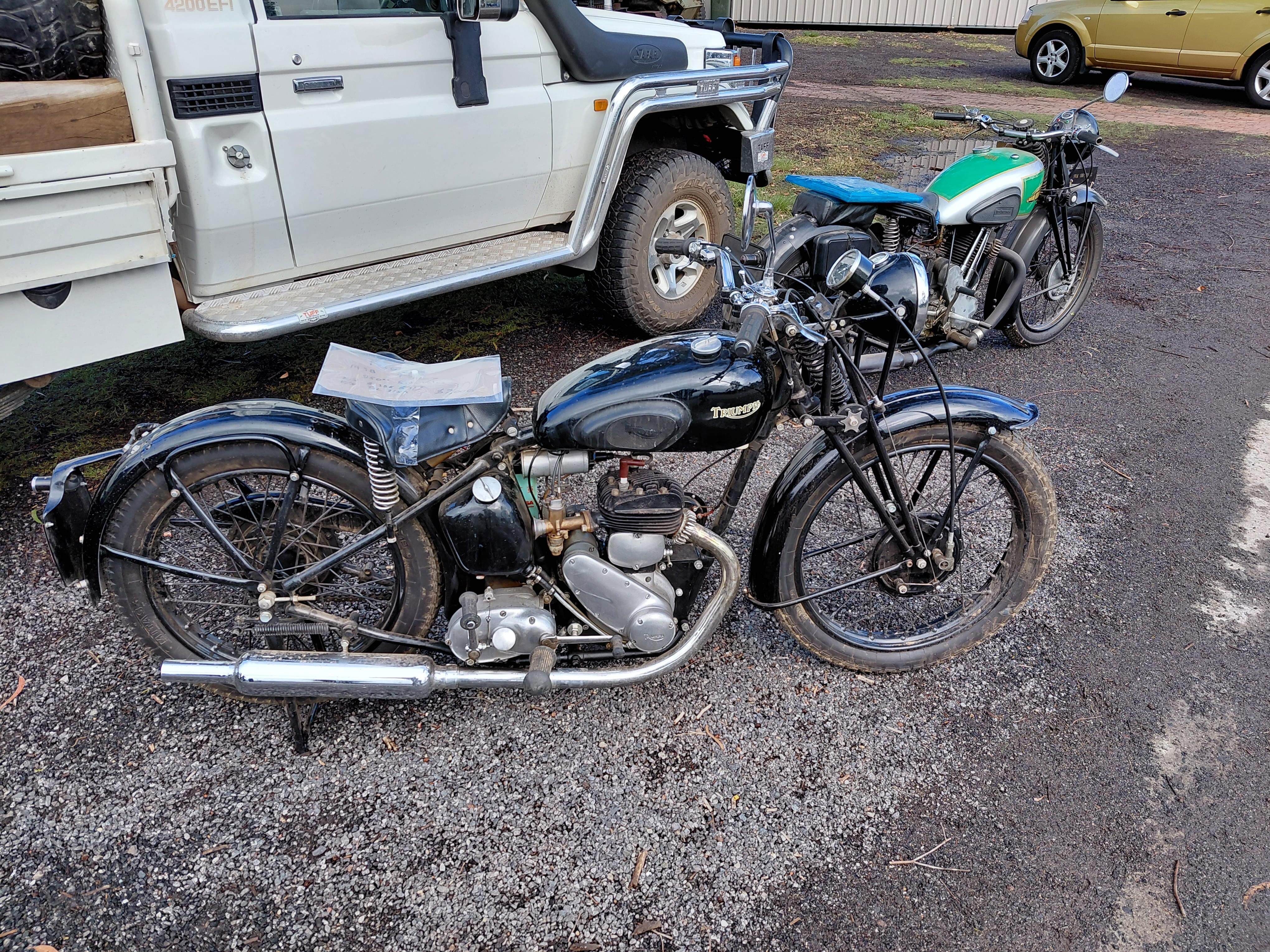 For Sale - Noel's Triumph